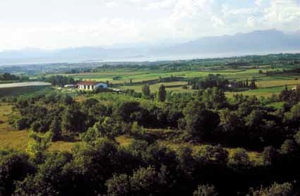 Azienda Agricola Valeggio sul Mincio VR1268440