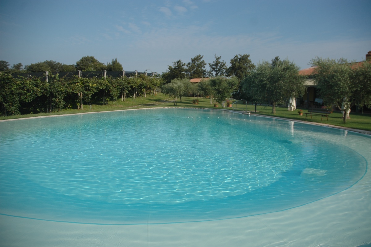 Azienda Agricola in Vendita Valeggio sul Mincio