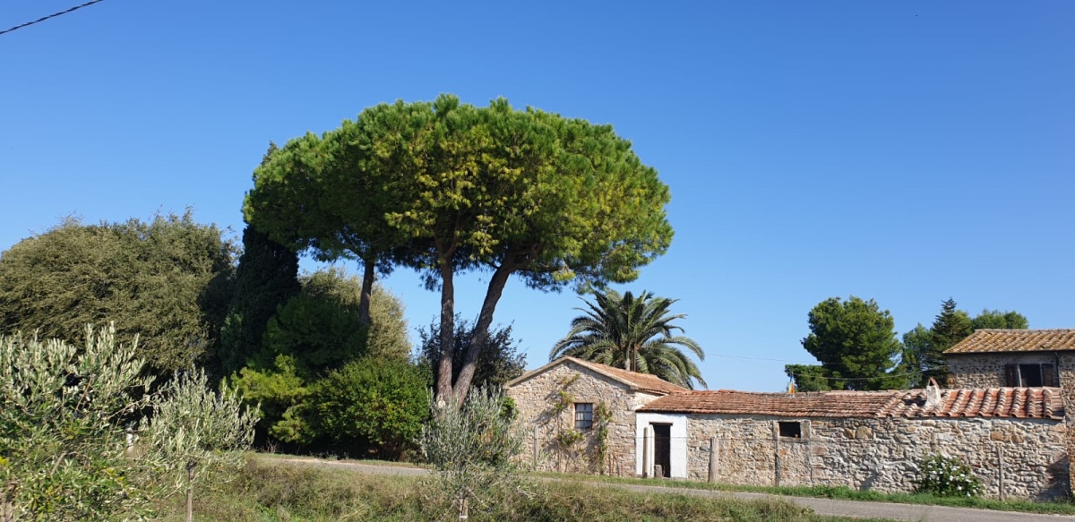 Rustico - Cascina PIOMBINO vendita  Piombino  Polo Immobiliare Verona