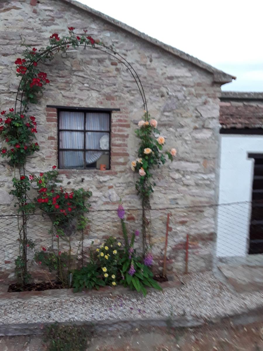 Rustico - Cascina PIOMBINO vendita  Piombino  Polo Immobiliare Verona