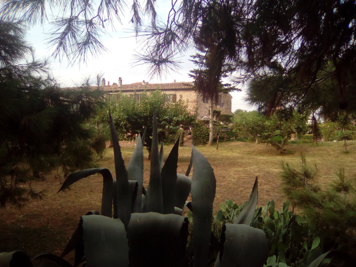 Rustico - Cascina PIOMBINO vendita  Piombino  Polo Immobiliare Verona
